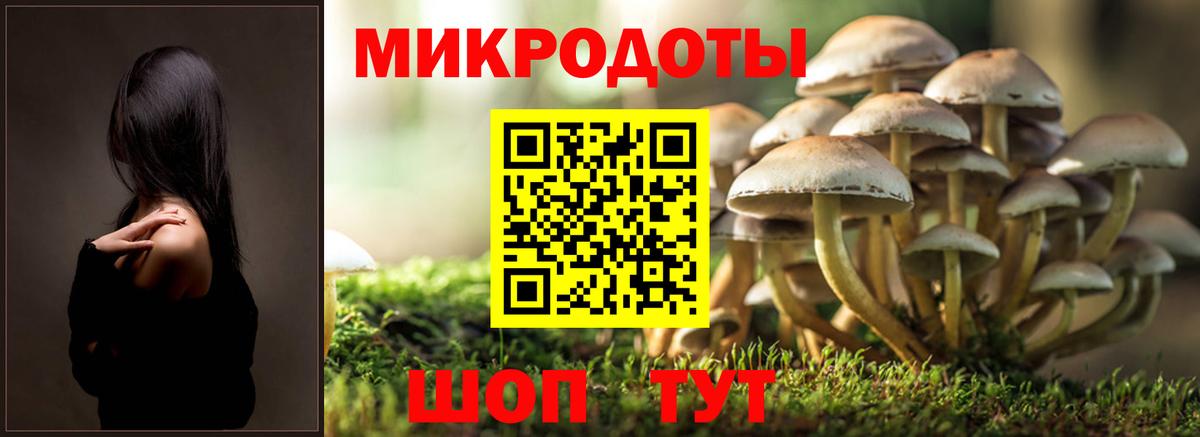 Галлюциногенные грибы MAGIC MUSHROOMS  Вход с VPN  Миасс 